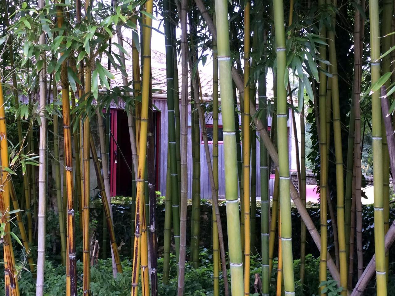 Domaine Terroceane Hotel La-Gripperie-Saint-Symphorien Ngoại thất bức ảnh